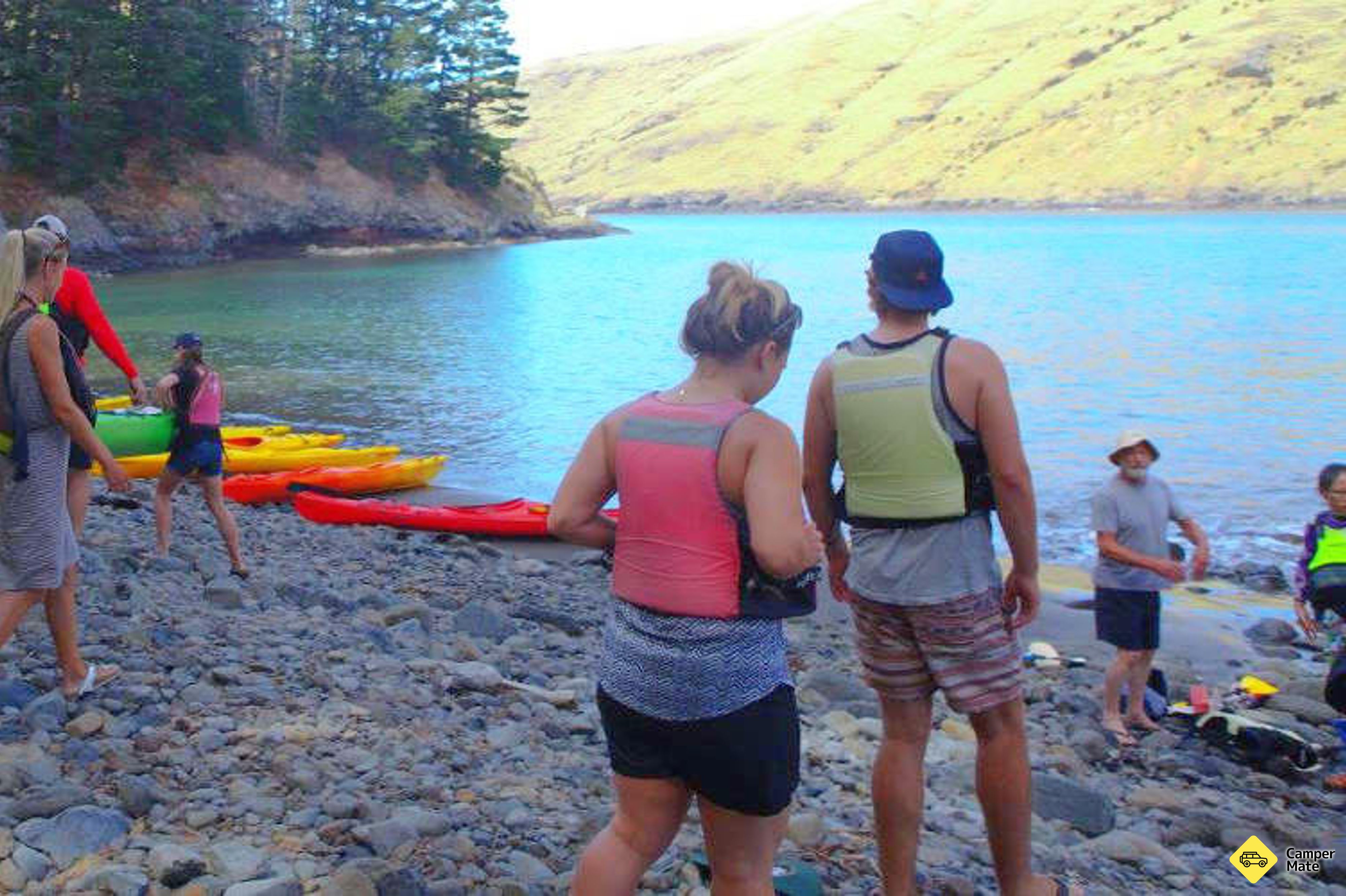 Pohatu Penguins, Sea Kayaking and Scenic 4WD Safari - Image 2