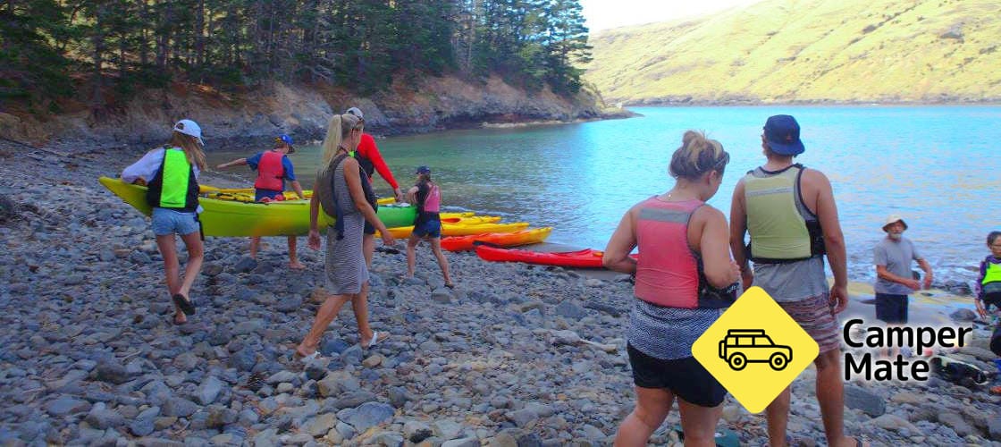 Pohatu Penguins, Sea Kayaking and Scenic 4WD Safari - Image 2