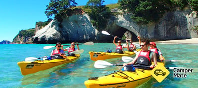 Cathedral Cove Kayaking Tour