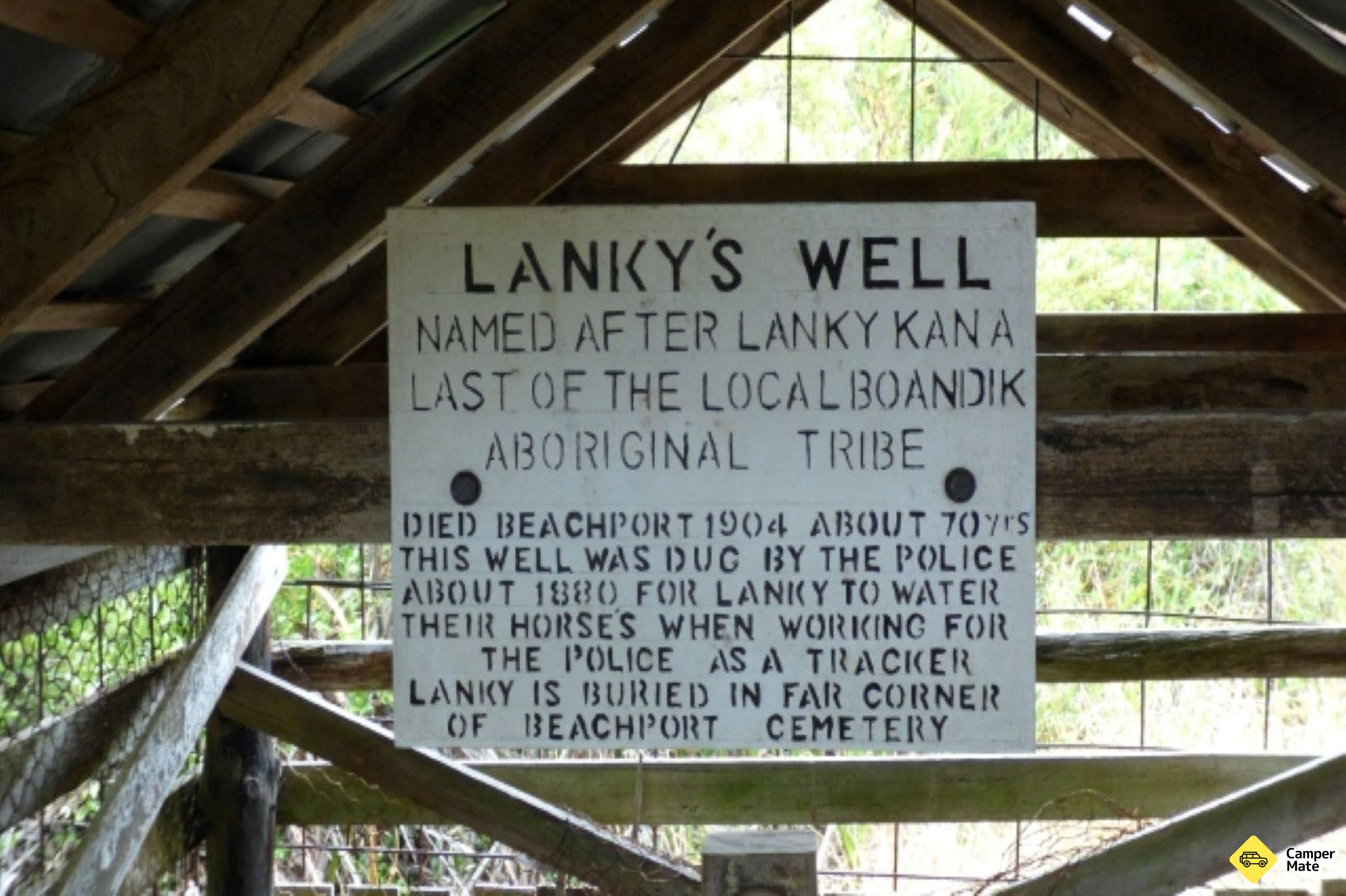 El paseo de Lanky - Image 3