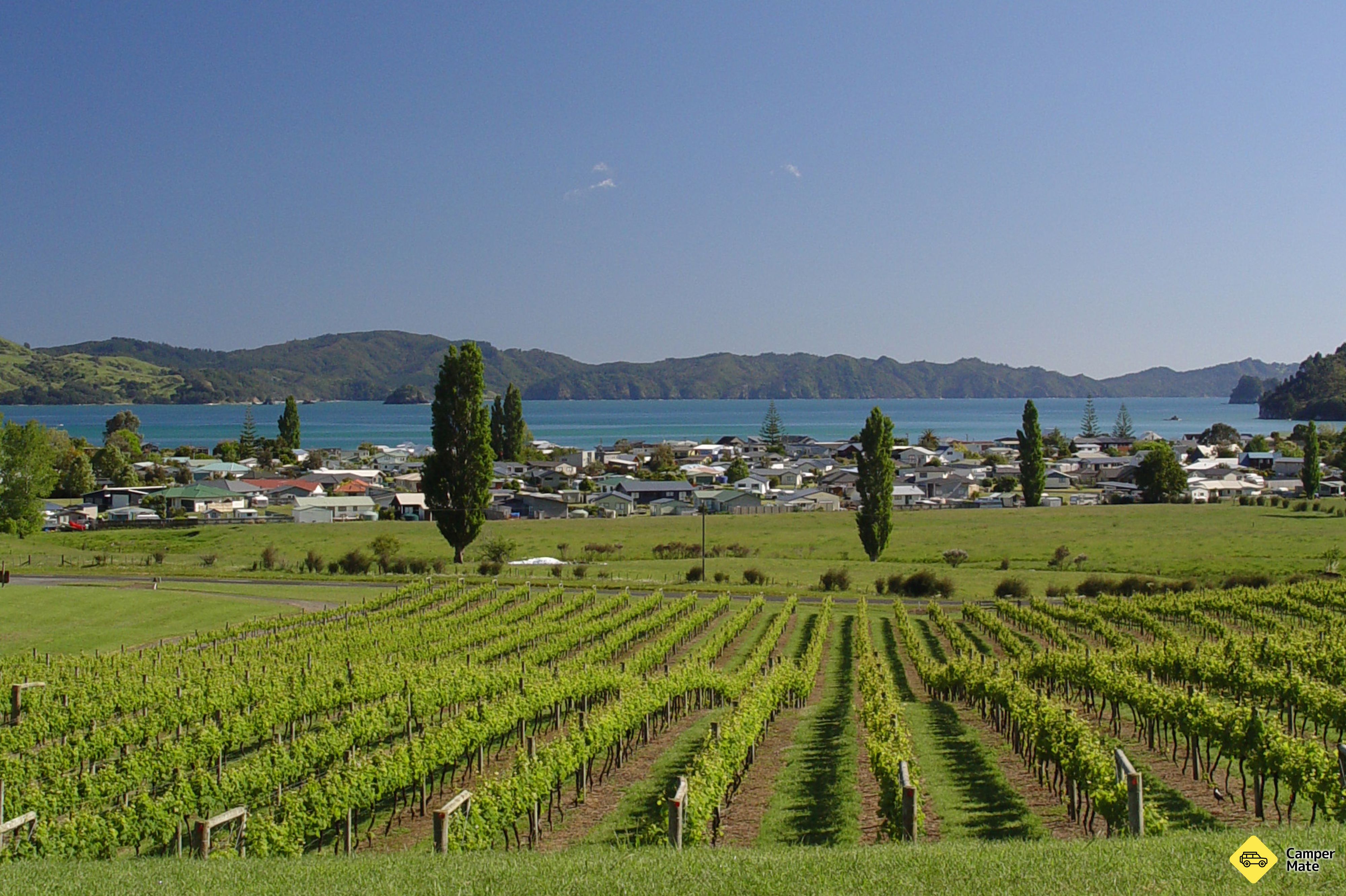 Mercury Bay Estate - Winery & Restaurant - Image 2
