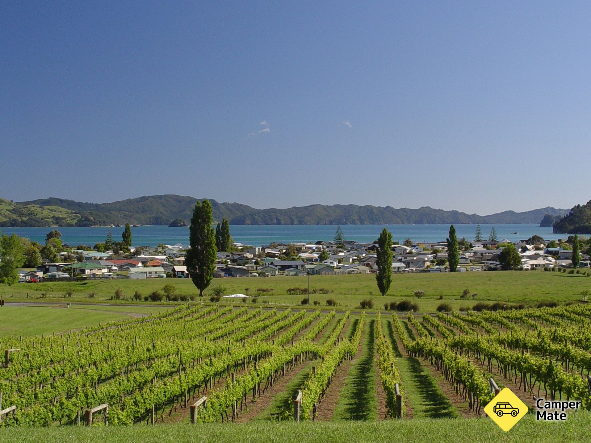Mercury Bay Estate - Winery & Restaurant - Image 2