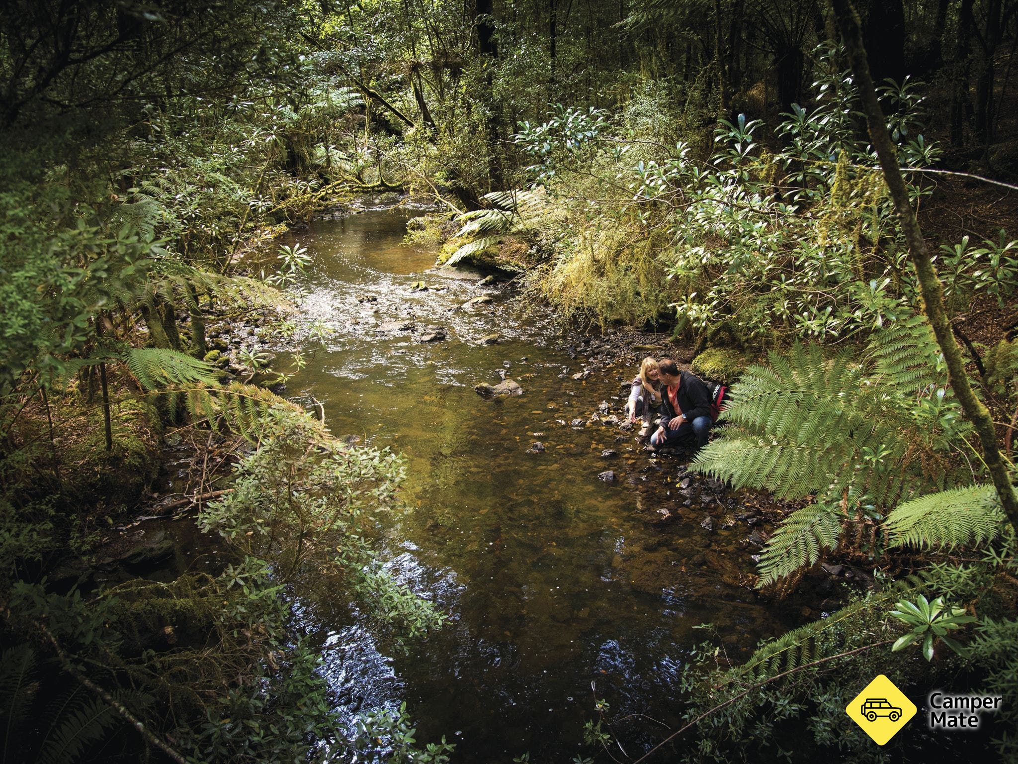Arthur River - Image 3