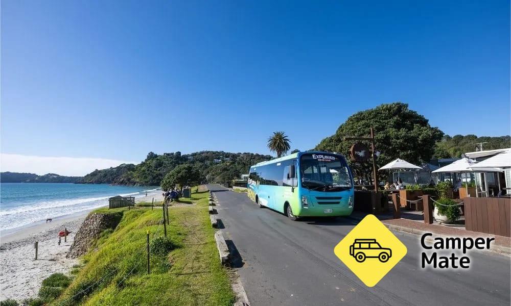 Waiheke Hop On Hop Off Explorer Tour - Image 2