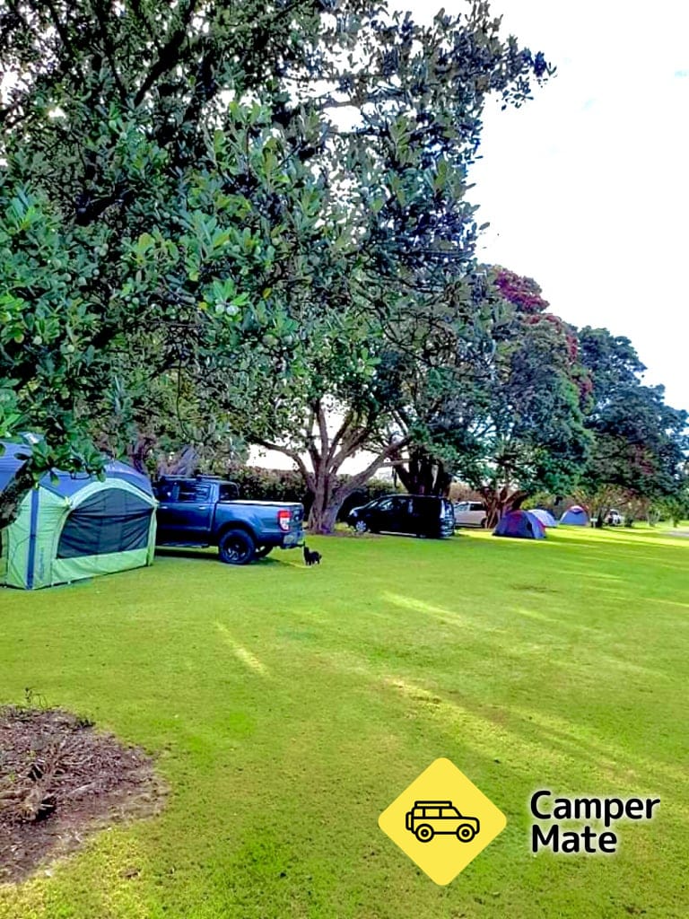 Waitara Holiday Park - Image 2