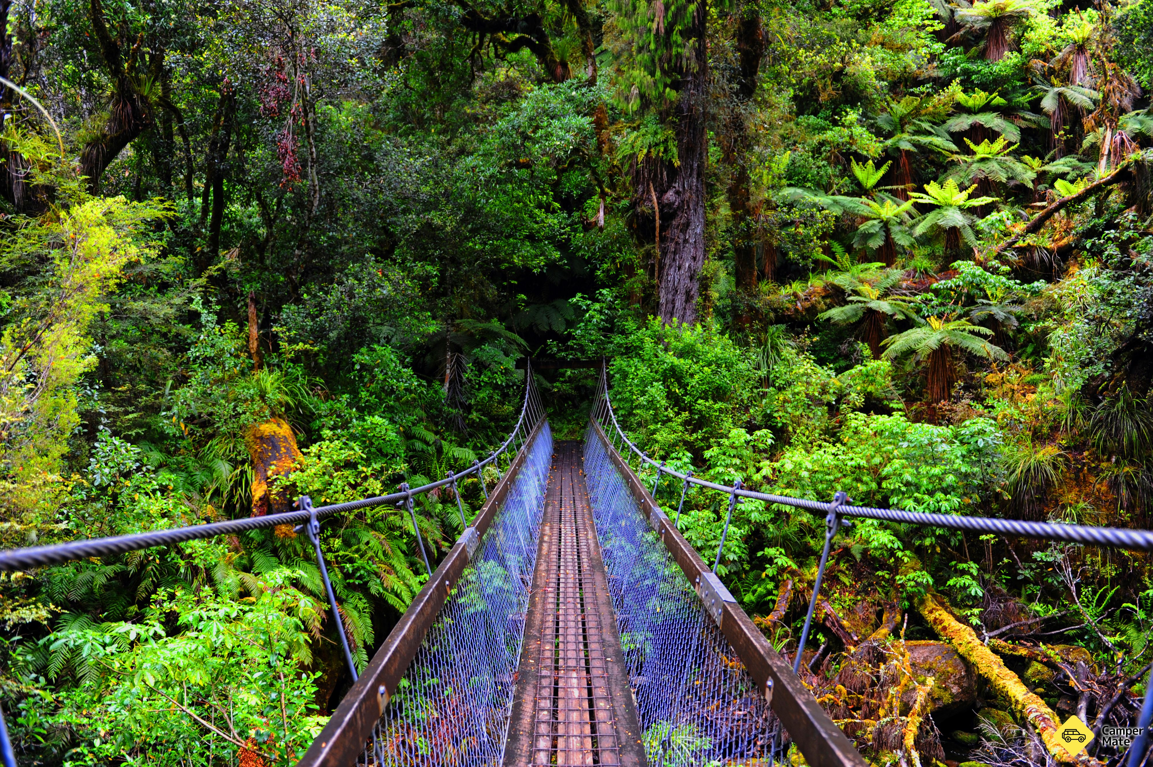 Λίμνη Waikaremoana Track - Image 2