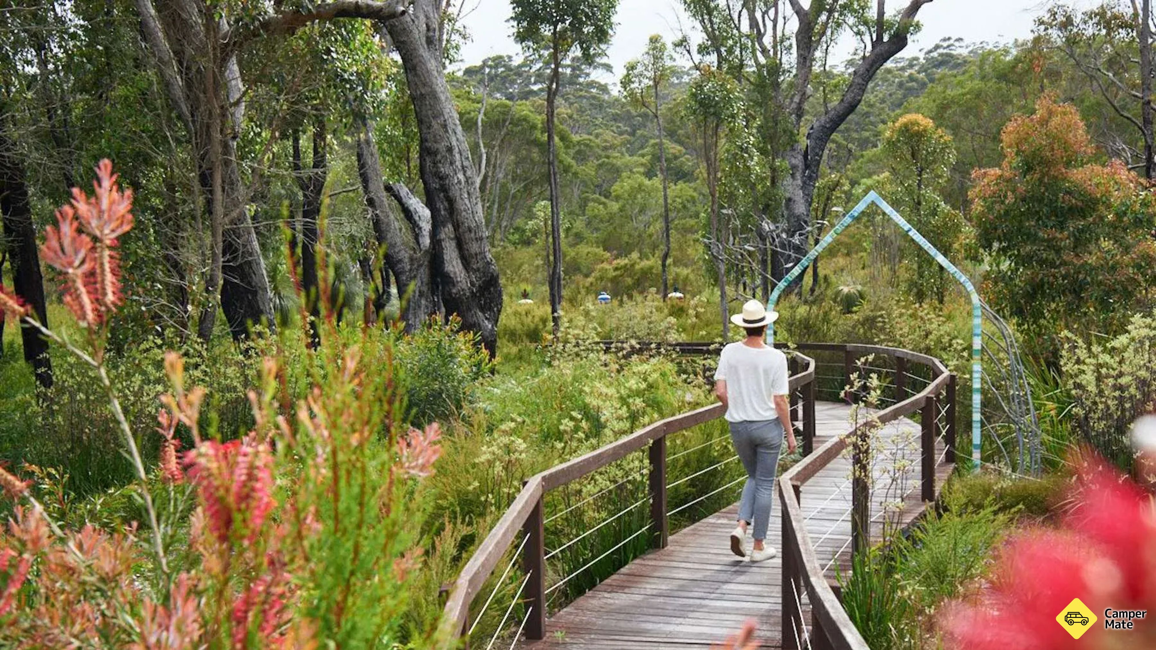 Understory Art and Nature Walk
