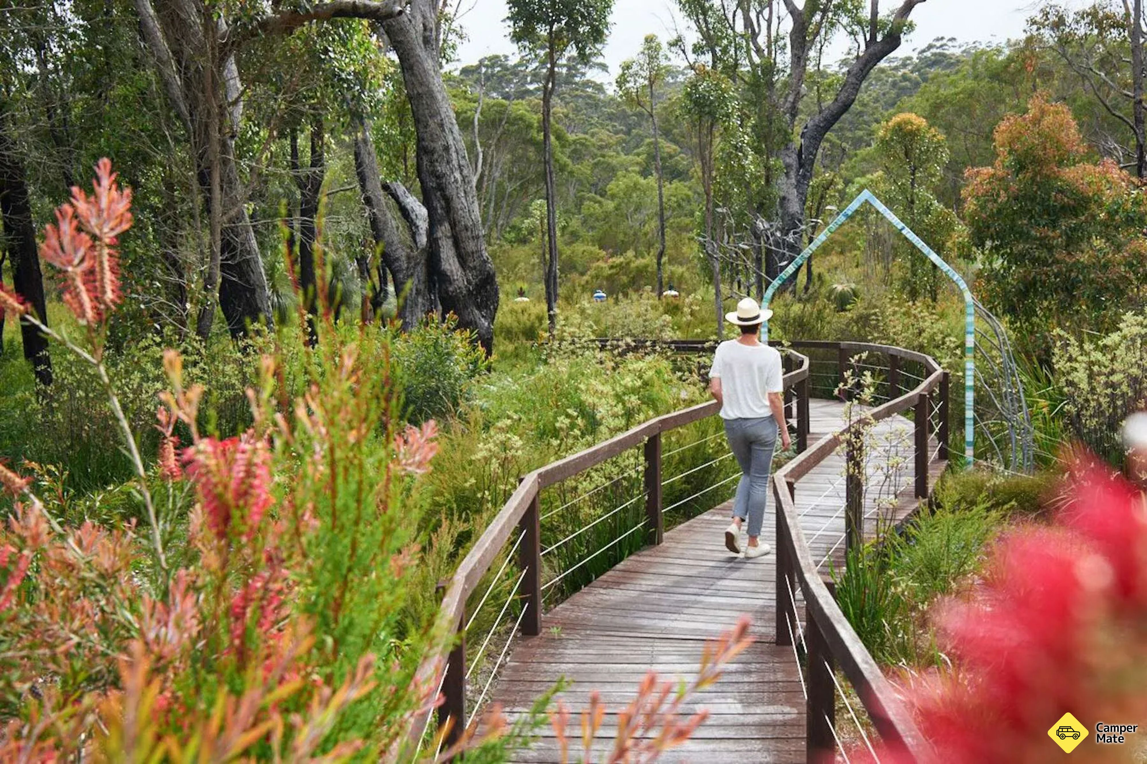 Understory Art and Nature Walk