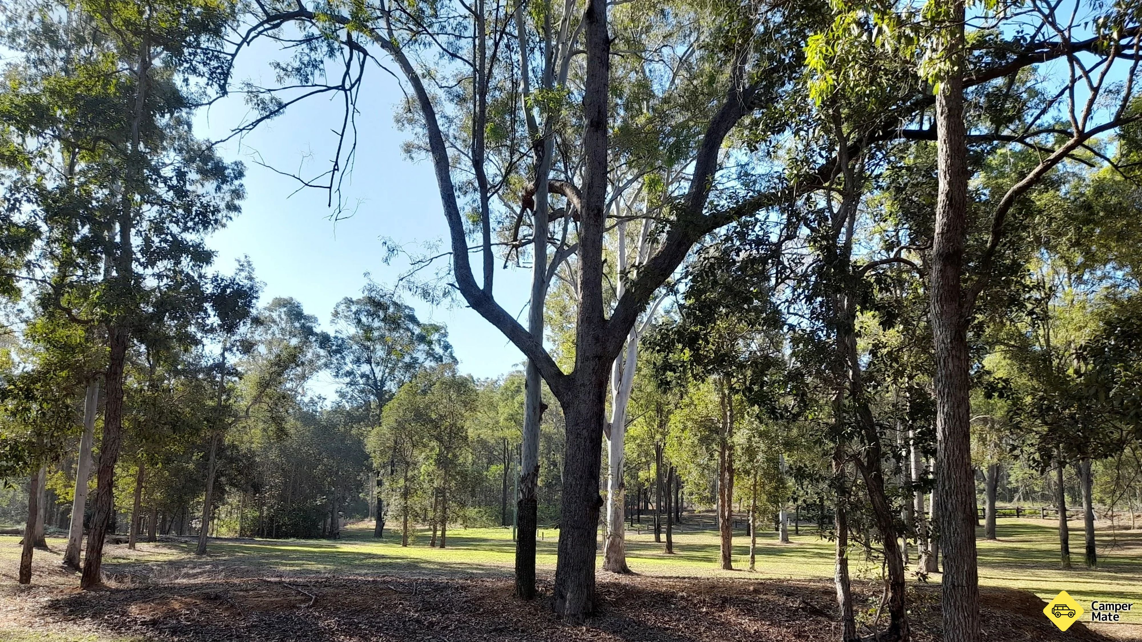 Freisthorpe Camp