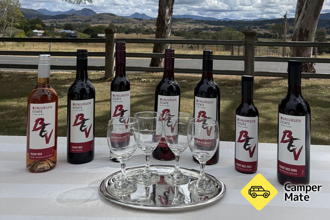 Chocolate, Cheese and Wine in the Vineyard - Eat Local Month
