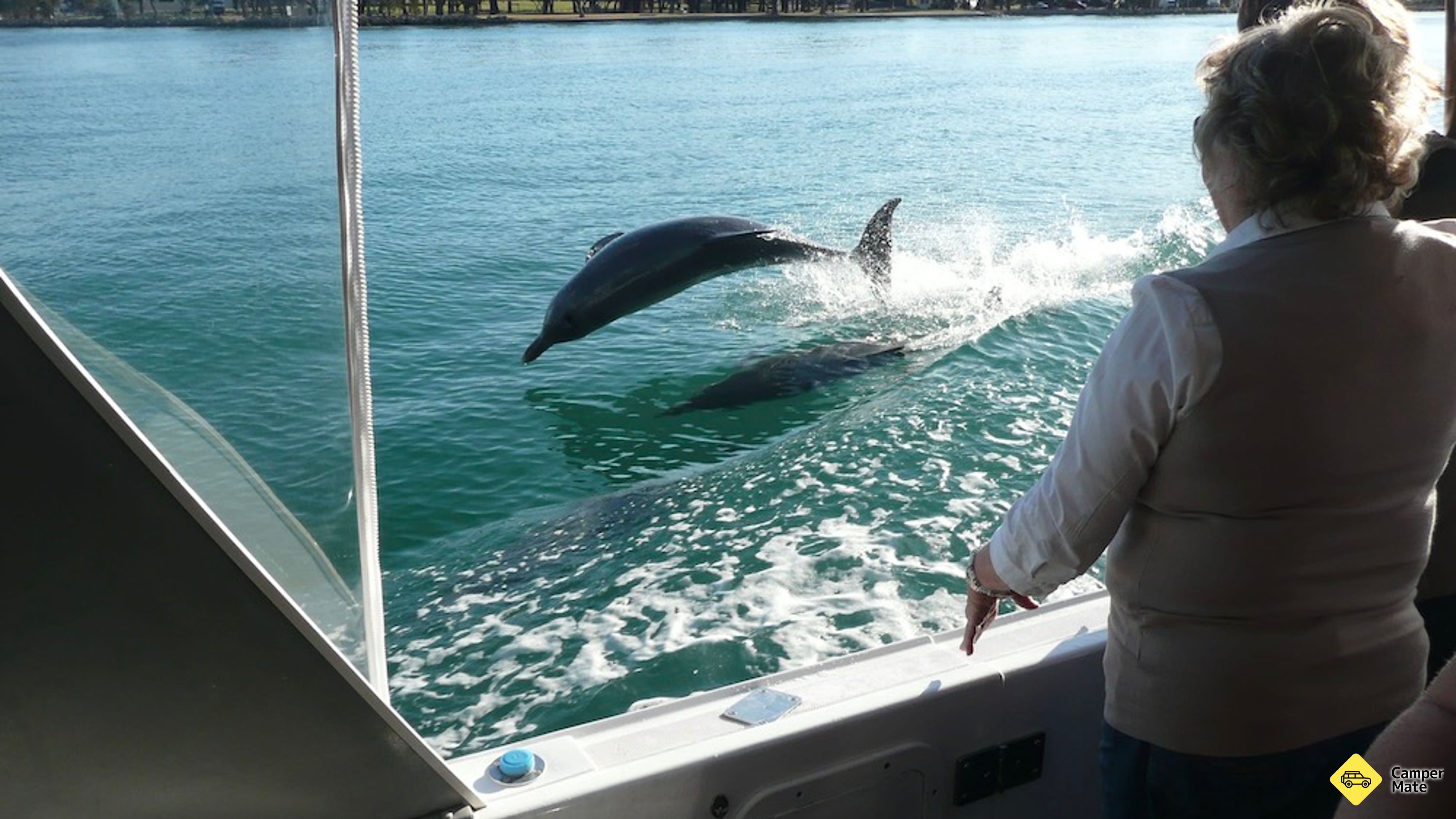 Murray River Scenic Cruise 근처 오락거리