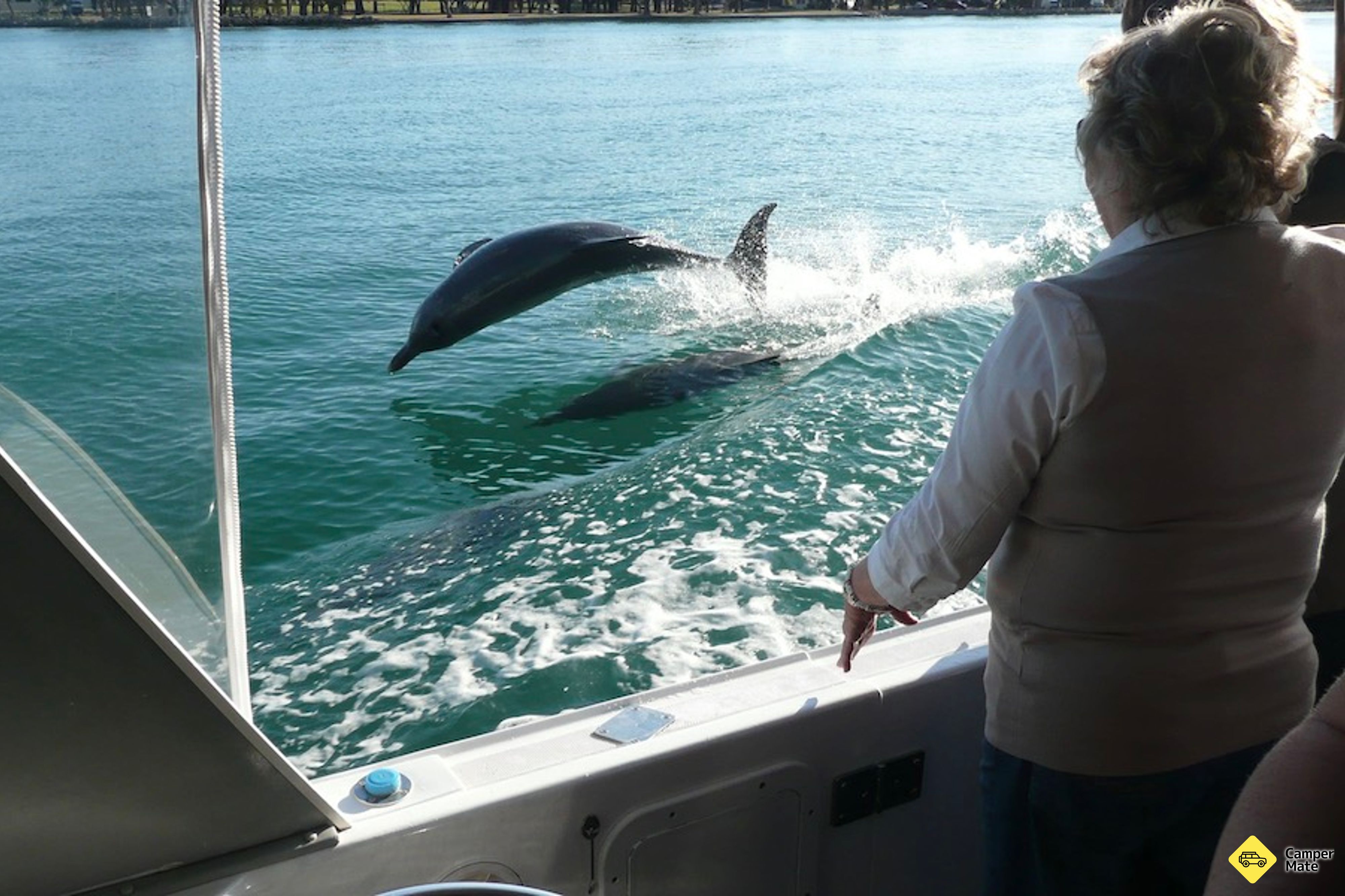 Murray River Scenic Cruise 근처 오락거리