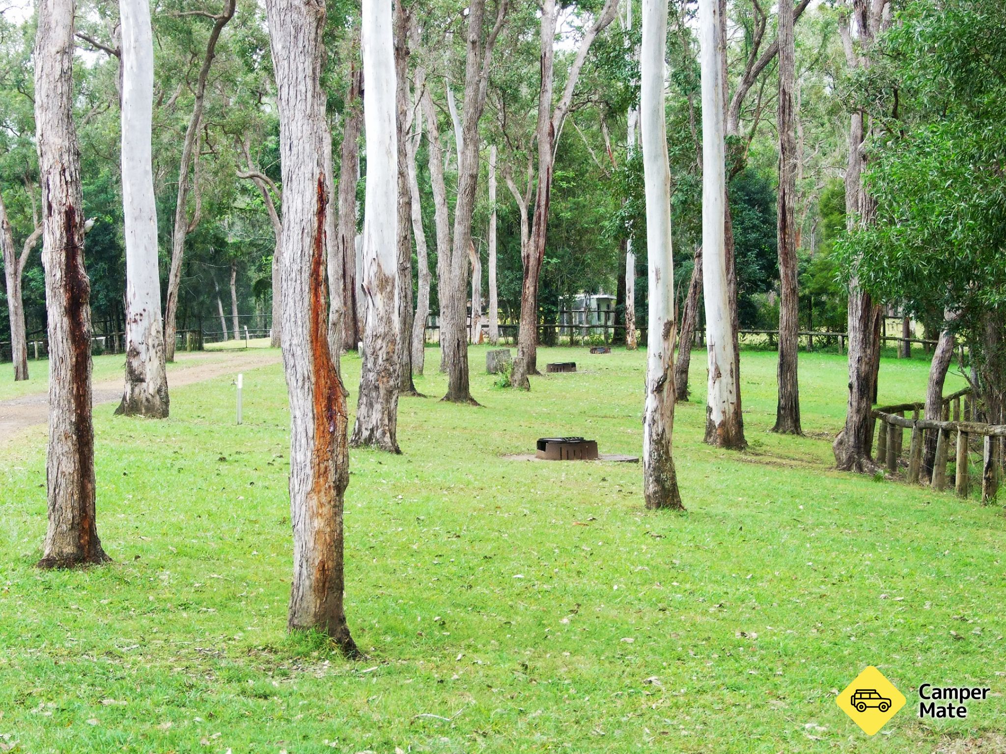アマモア・クリックキャンプ場 Amamoor Creek Campground - Image 3