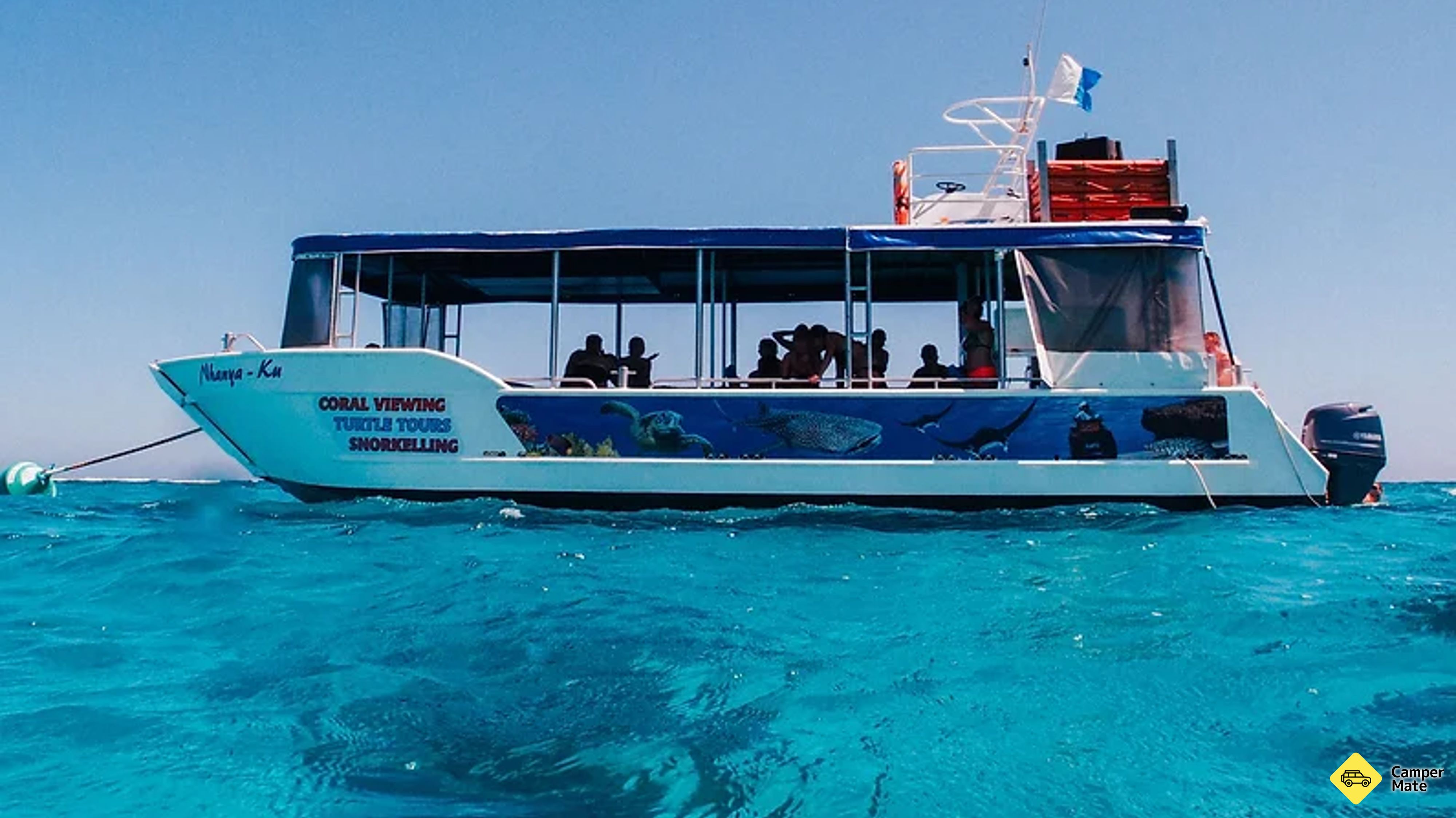 Coral Bay Turtle Tour