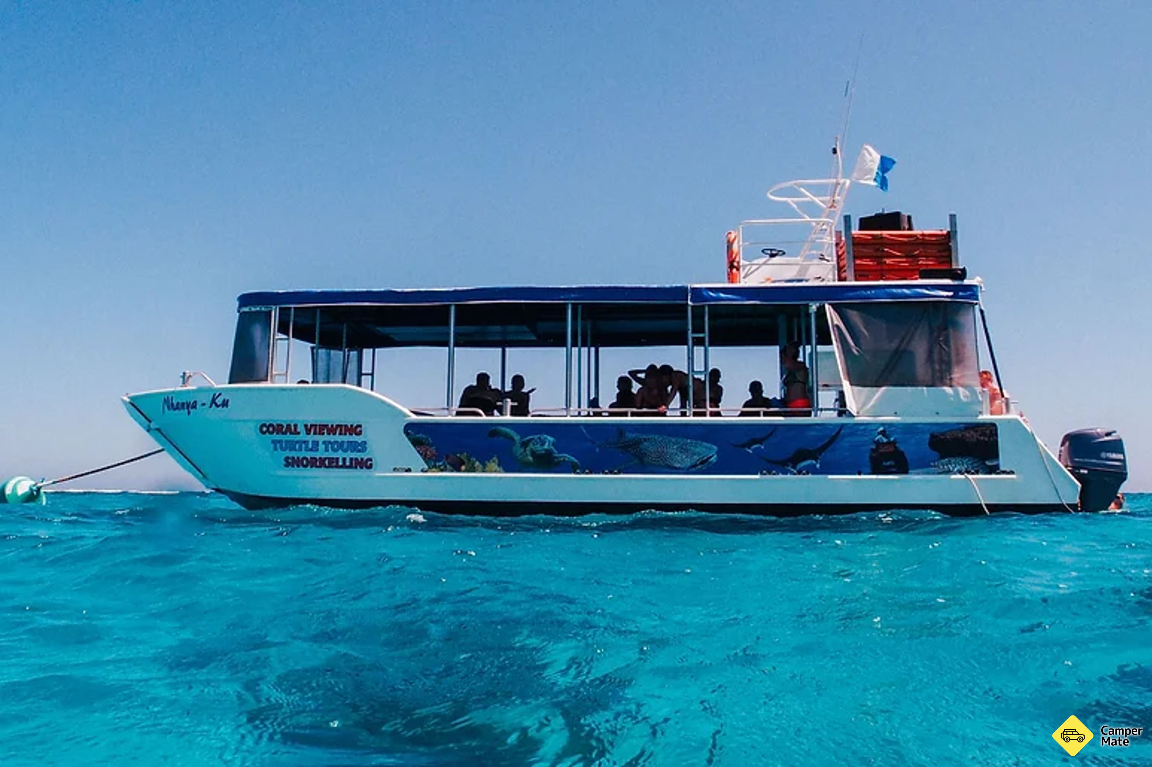 Coral Bay Turtle Tour