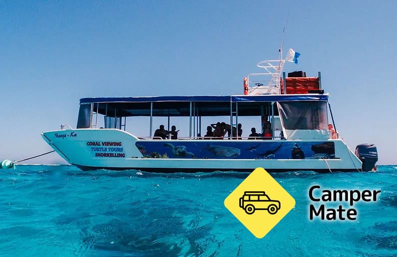 Coral Bay Turtle Tour 