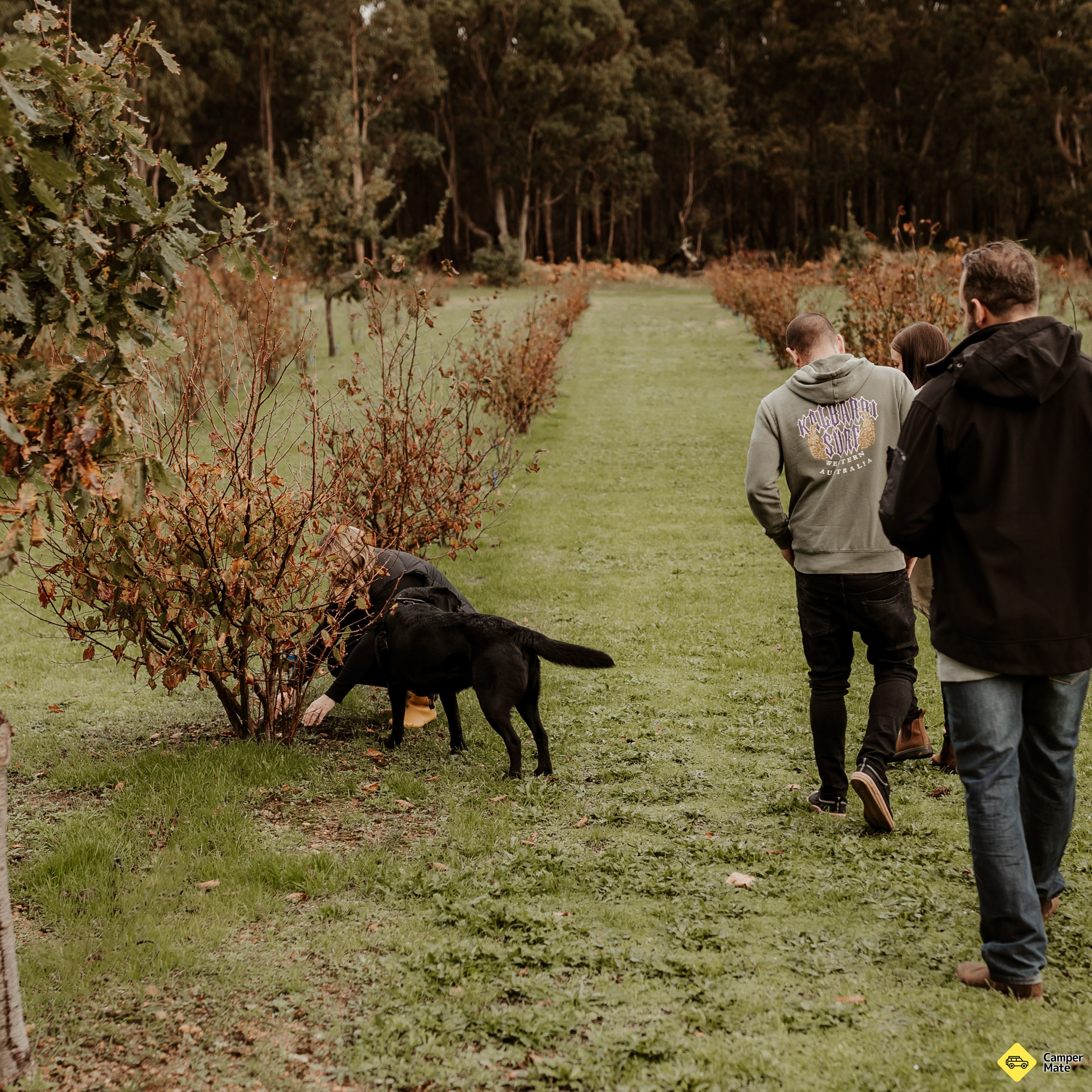 The Margaret River Truffle Farm - Image 2