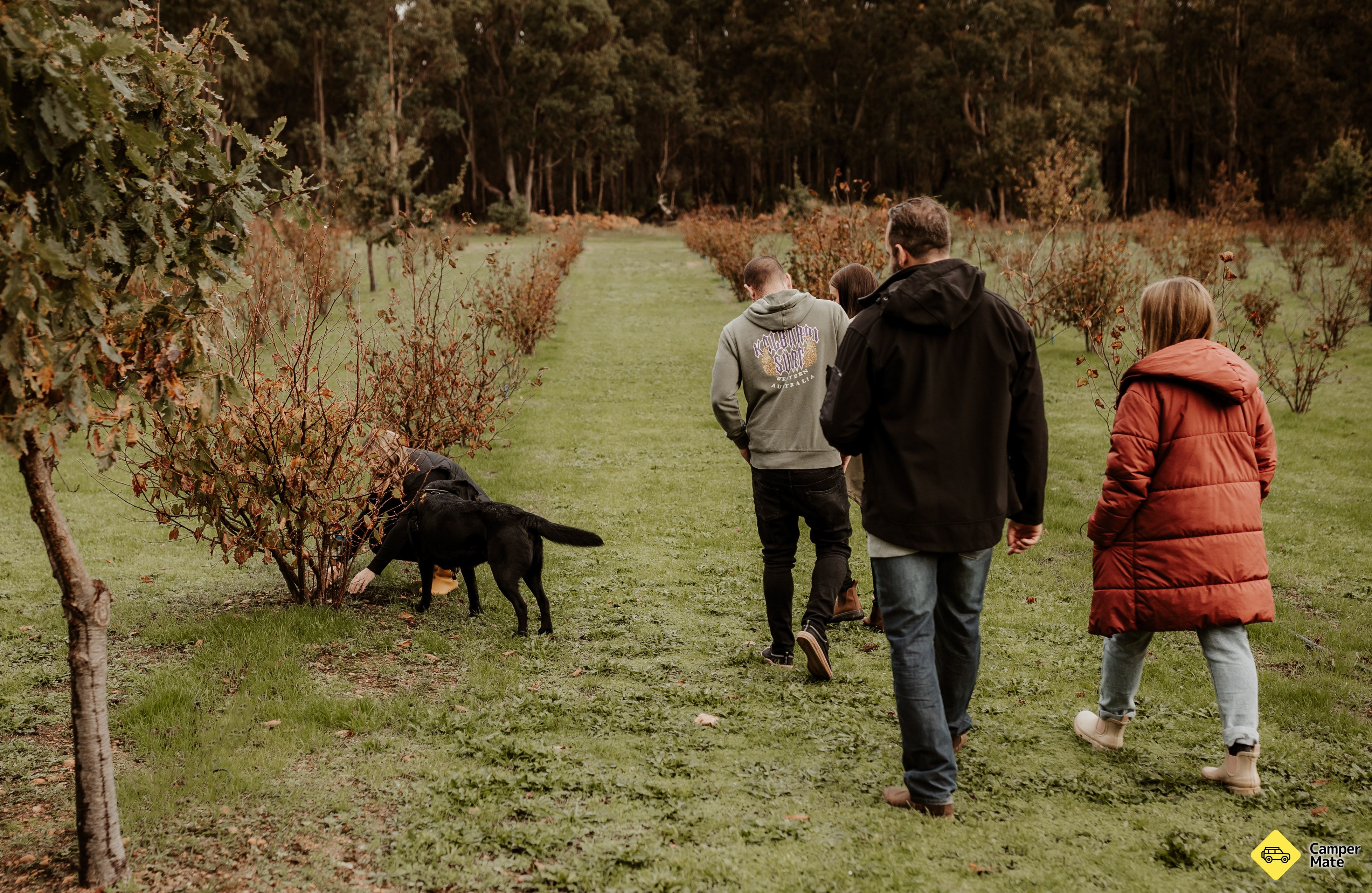 The Margaret River Truffle Farm - Image 2