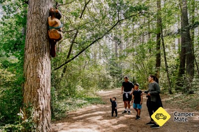 Parcours de la sculpture de Forest Amble