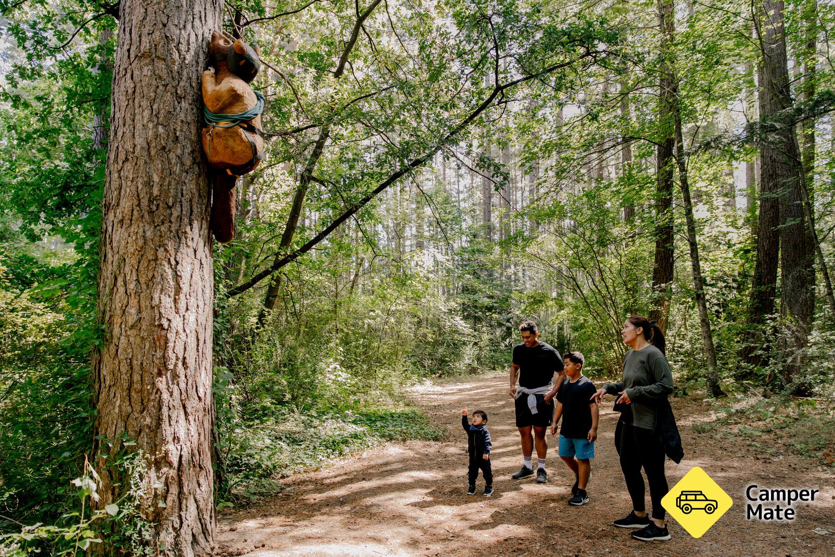 Parcours de la sculpture de Forest Amble