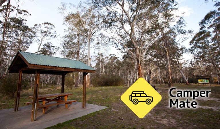Berlang Campground - Image 2