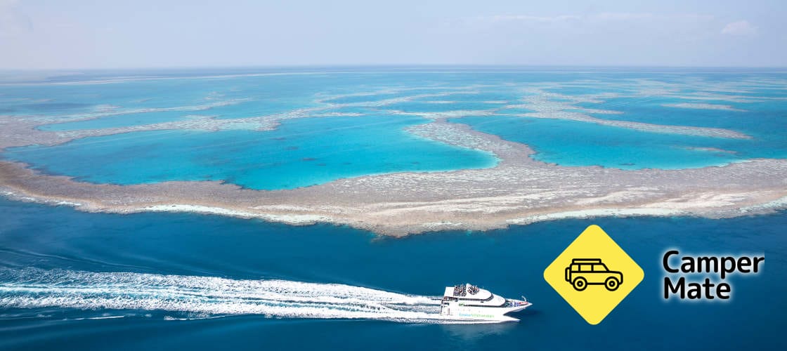 Great Barrier Reef Cruise to Hardy Reef Pontoon(ハーディ・リーフ・ポントン) - Image 2