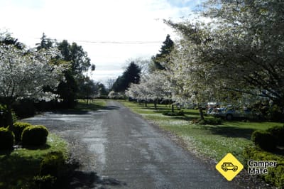 River's Edge Holiday Park