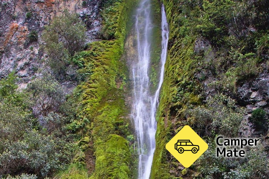 Dog Stream Waterfall