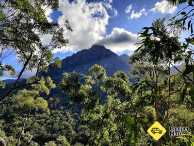 Yellow Pinch Track