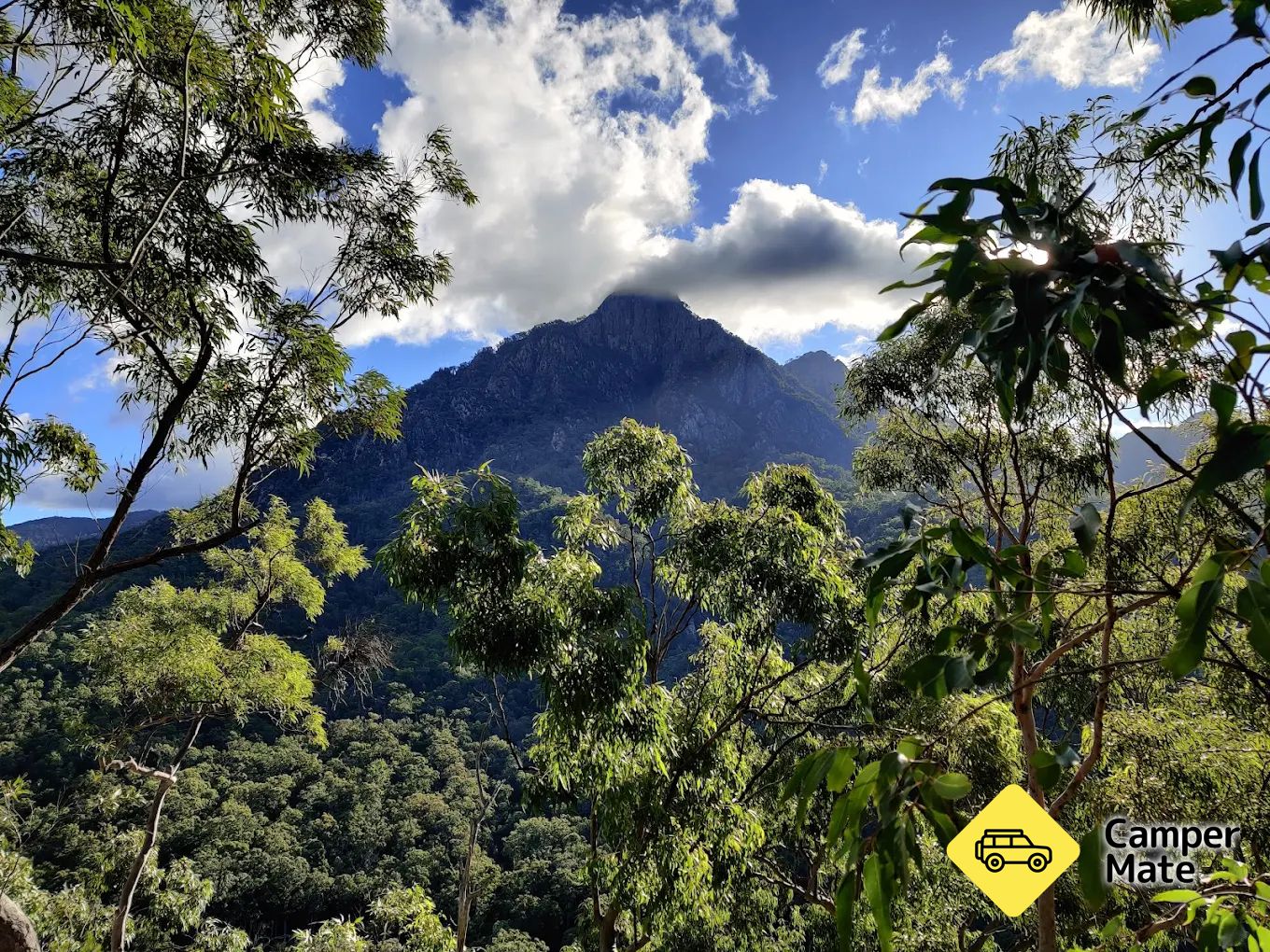 Yellow Pinch Track