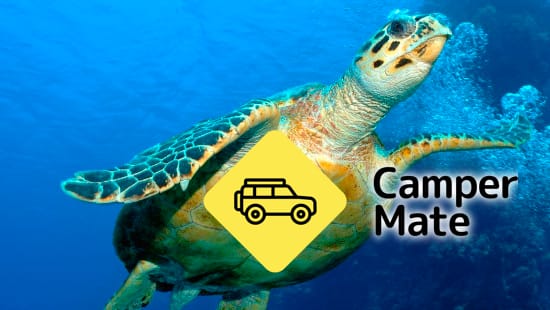 Hotel vicino a Hervey Bay Turtle Discovery Marine Tours