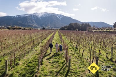 Esses Wine Company