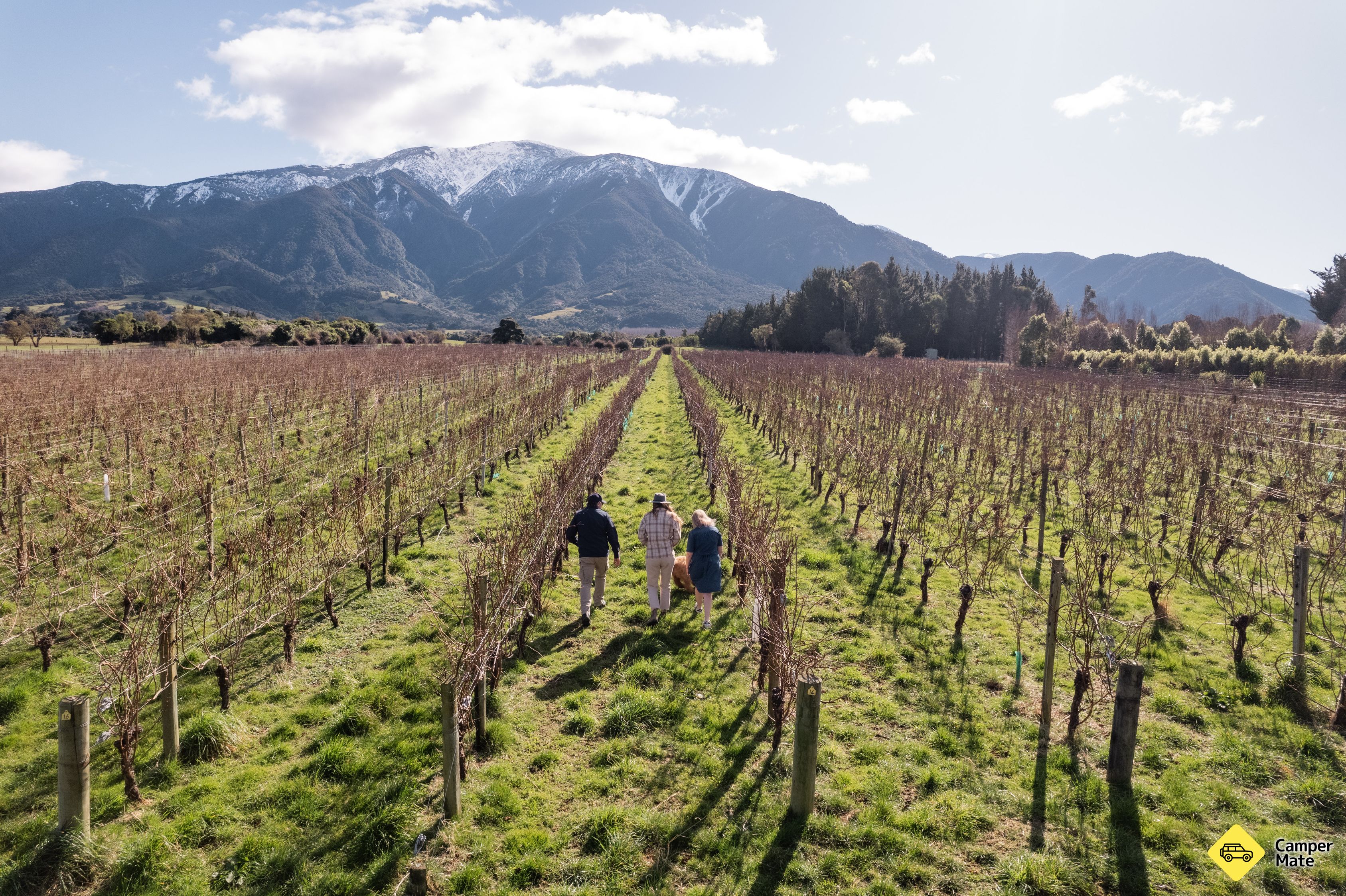 Esses Wine Company