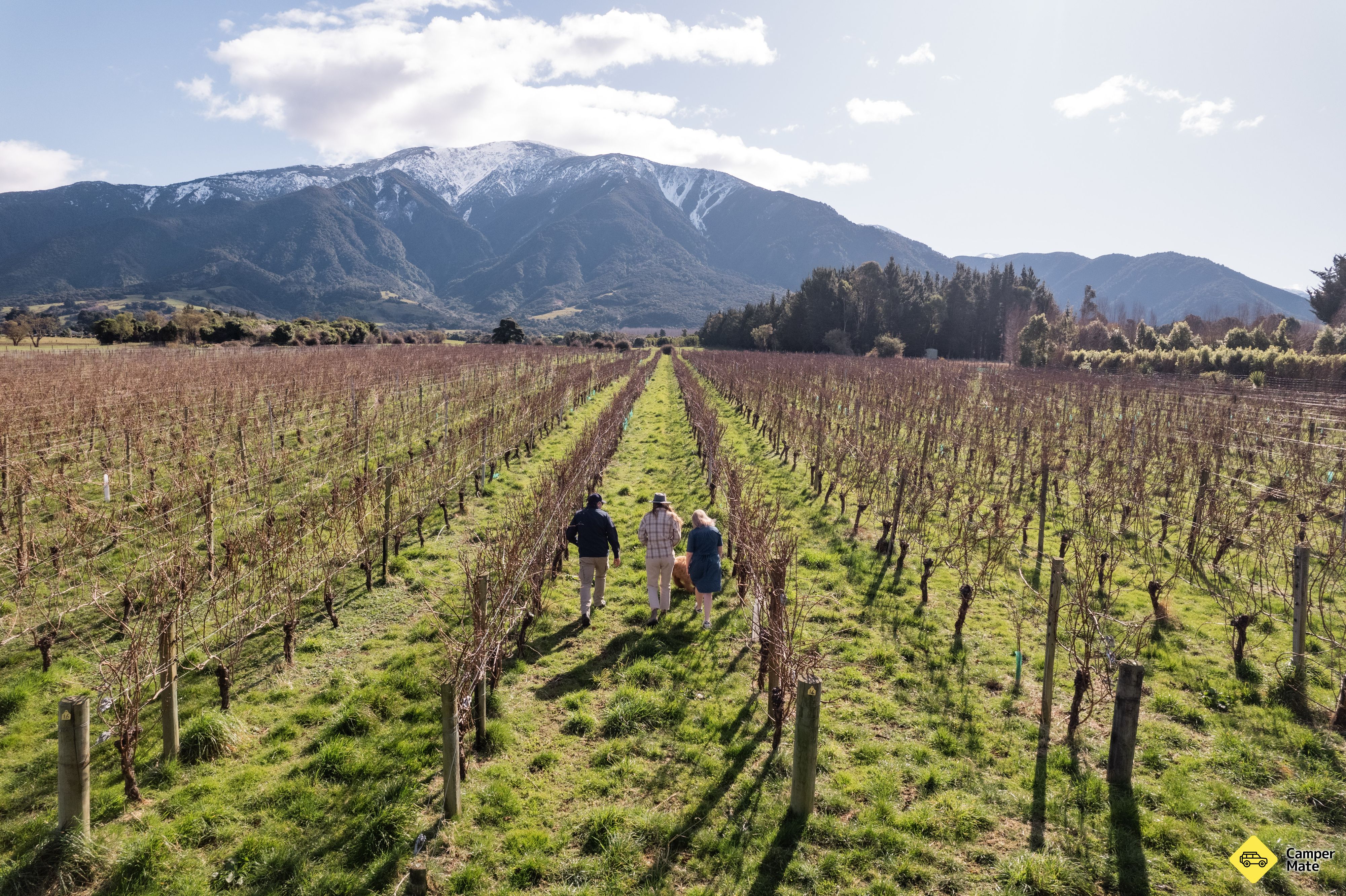 Esses Wine Company