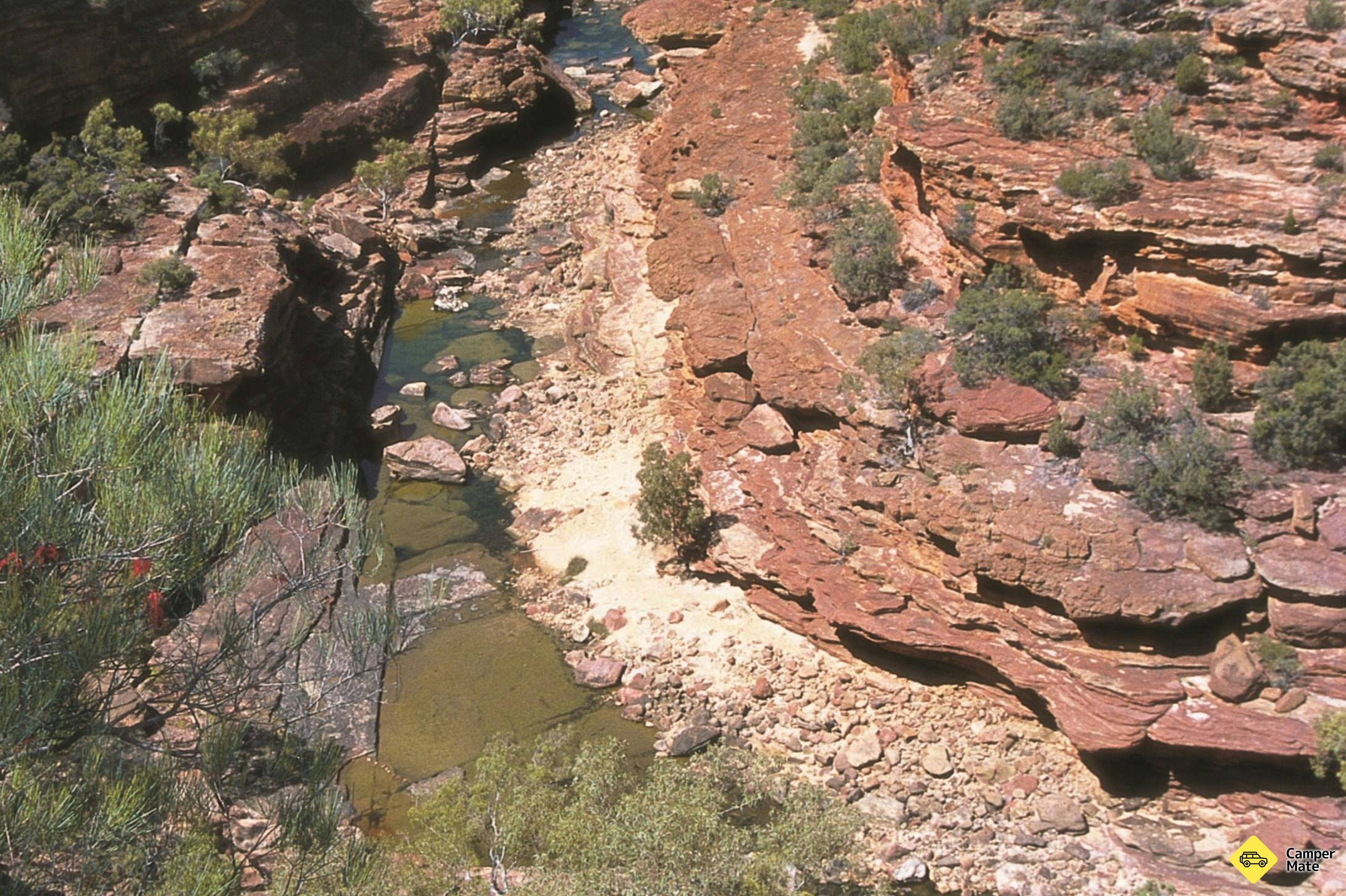 Ross Graham Lookout