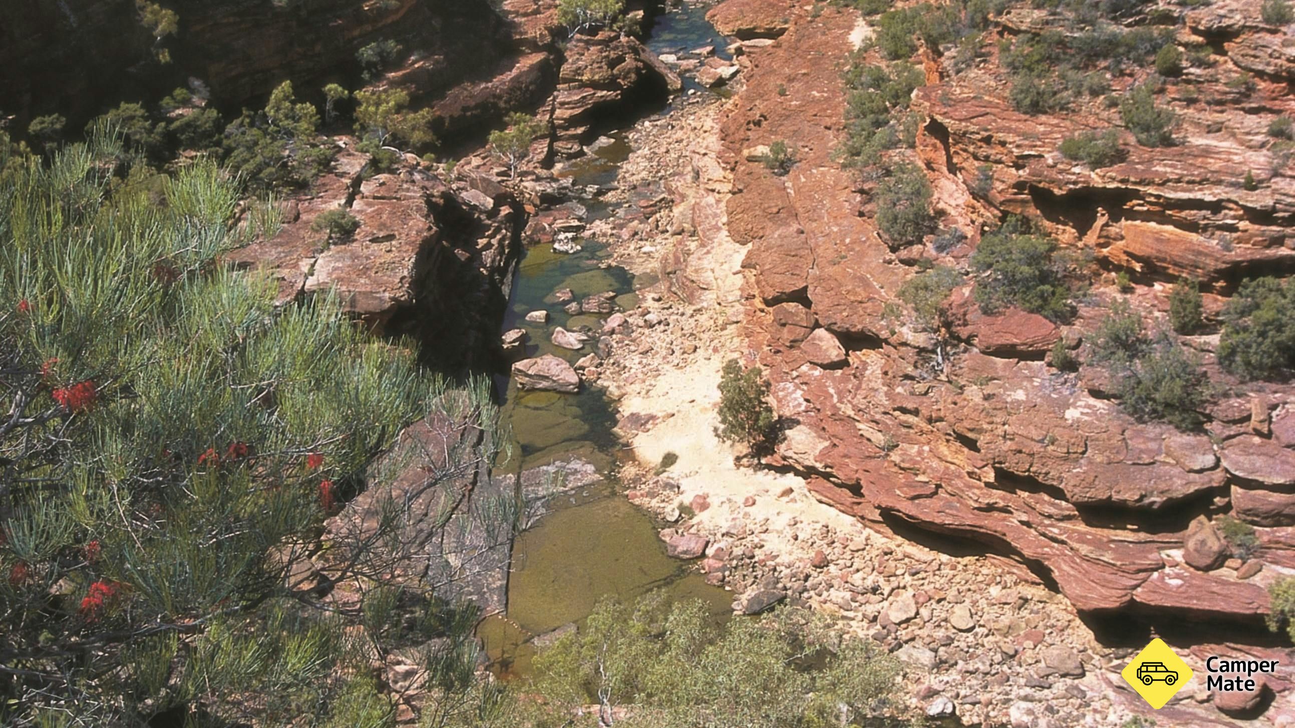 Ross Graham Lookout