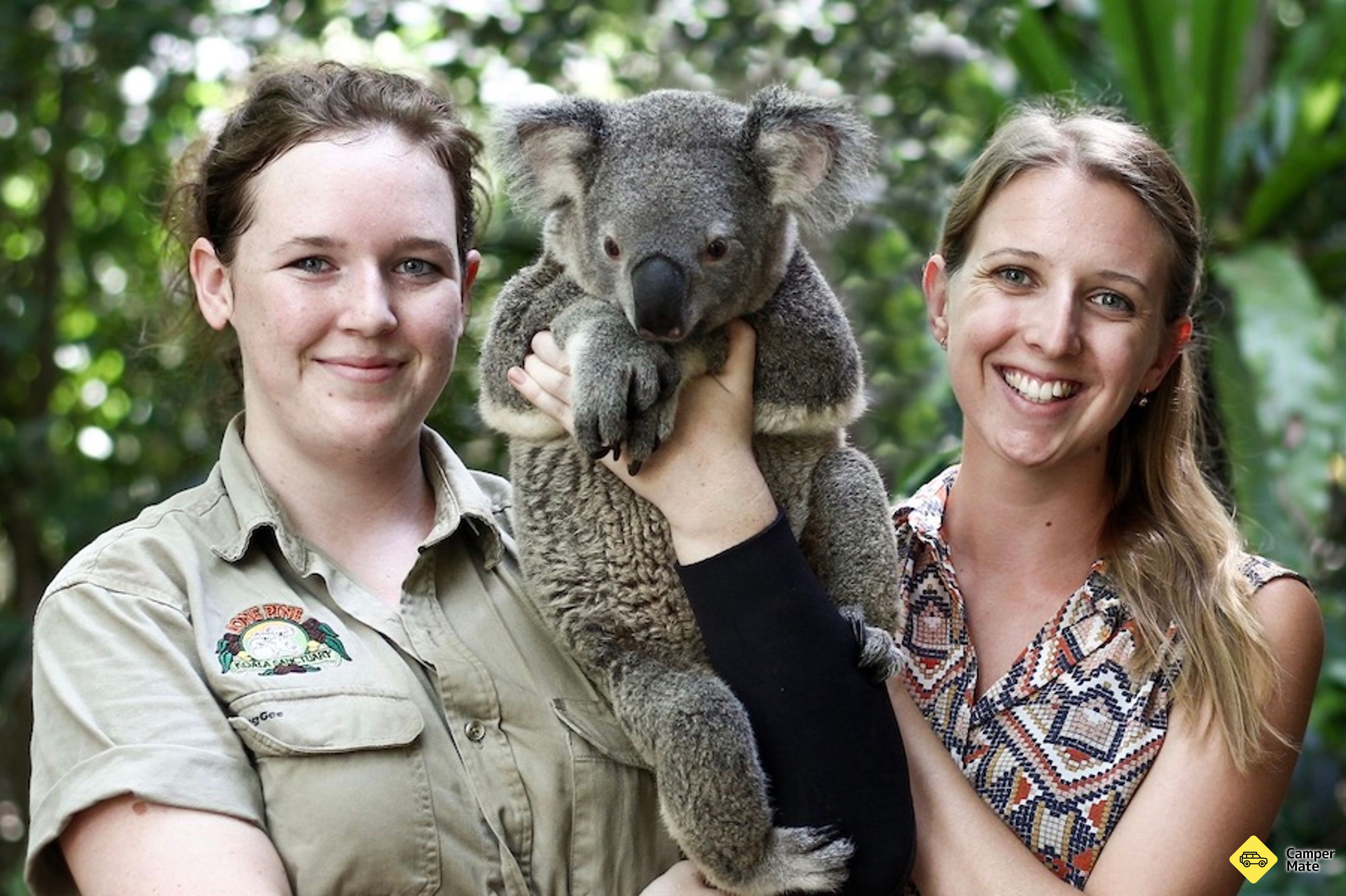 Lone Pine Koala Sanctuary with Return Scenic Cruise(ロネ・ピン・コアラ・サンクチュアリー) - Image 2