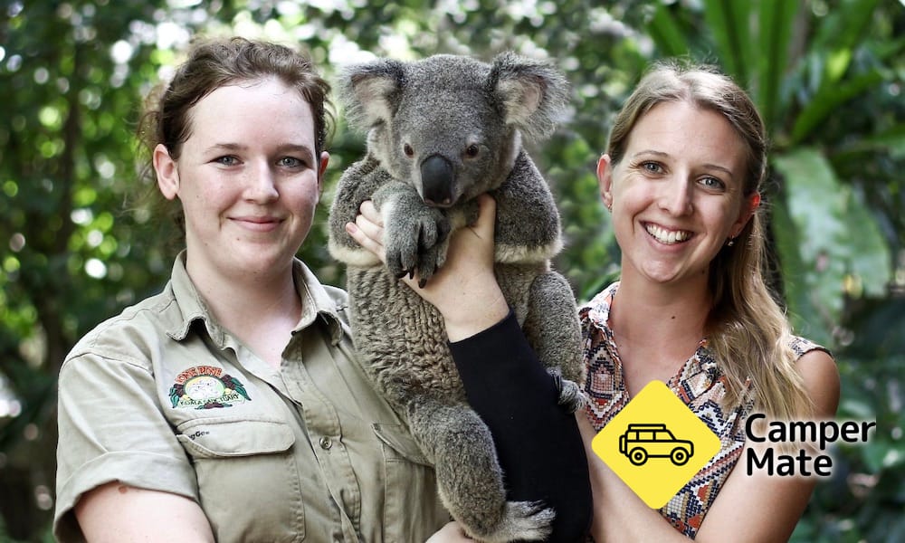 Lone Pine Koala Sanctuary with Return Scenic Cruise - Image 2