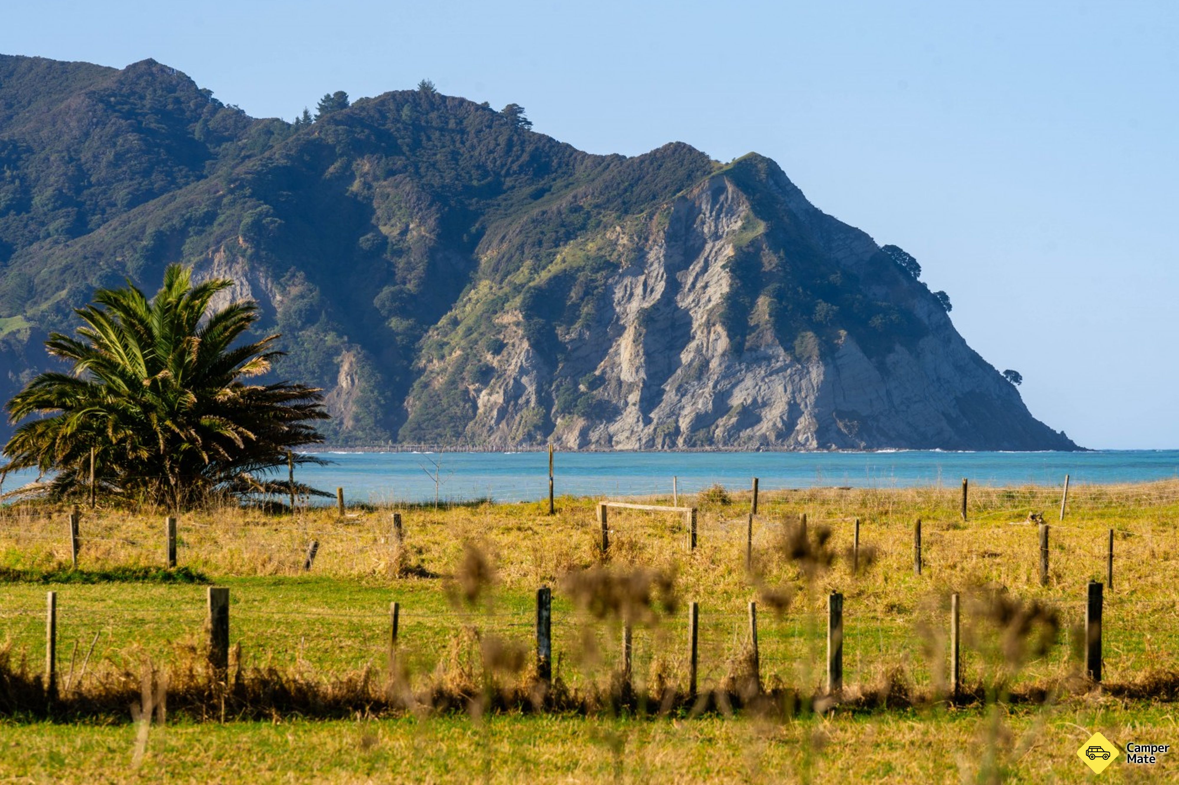 Tokomaru Bay North - Image 2