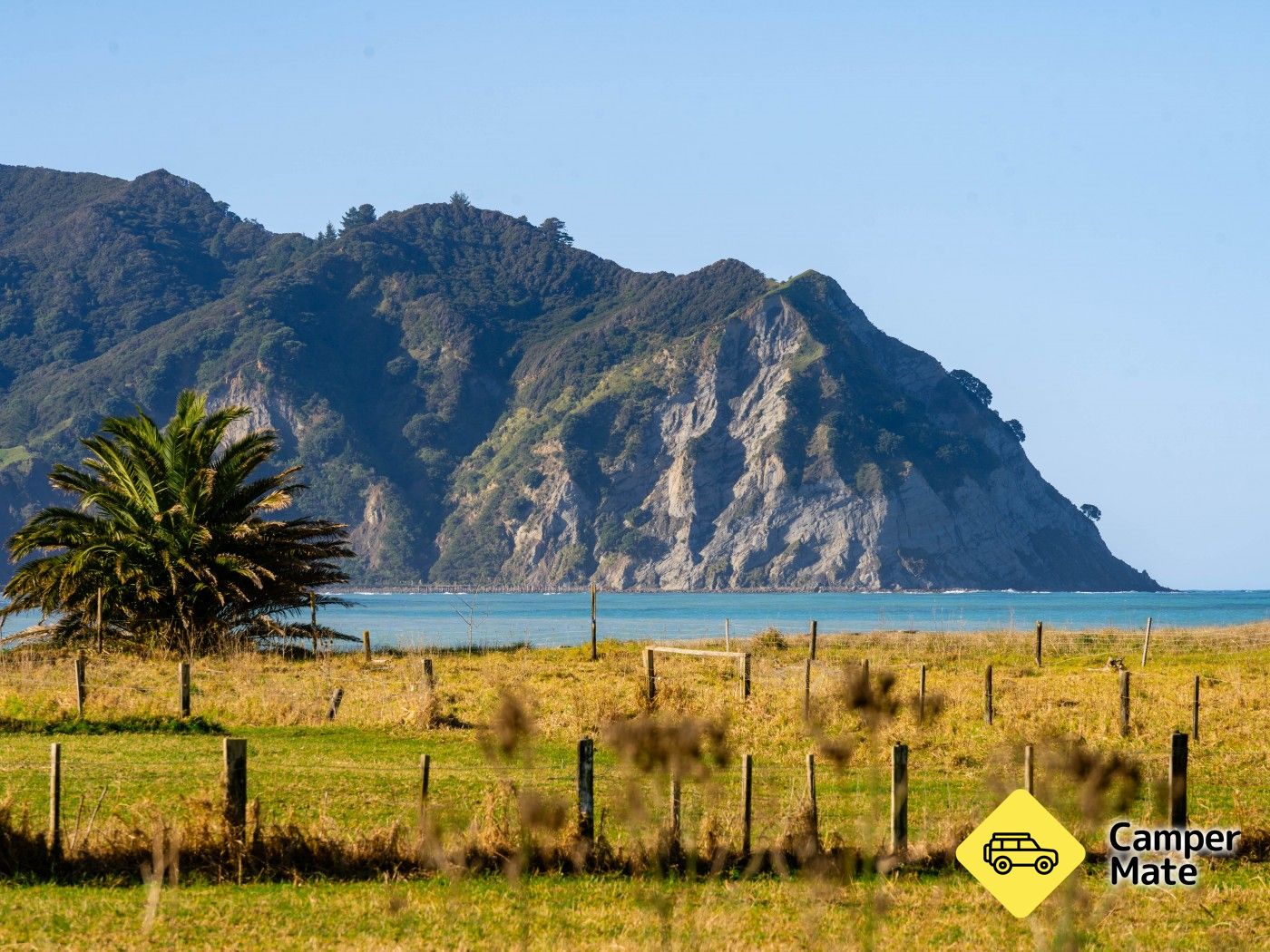 Tokomaru Bay North - Image 2
