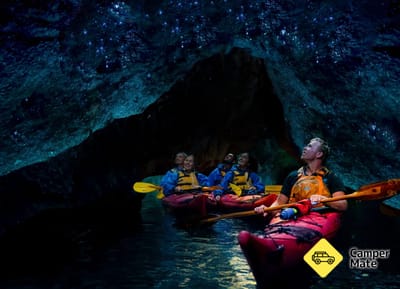 Waimarino Tauranga Glow worm Kayak Tour