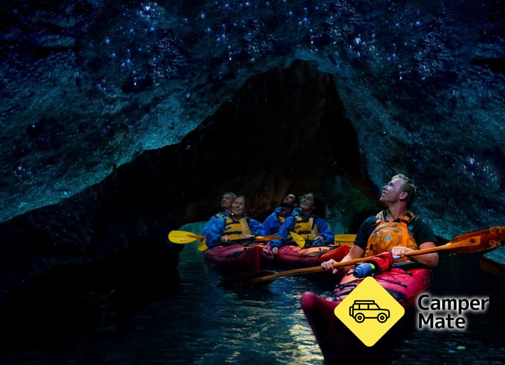 Waimarino Tauranga Glow worm Kayak Tour