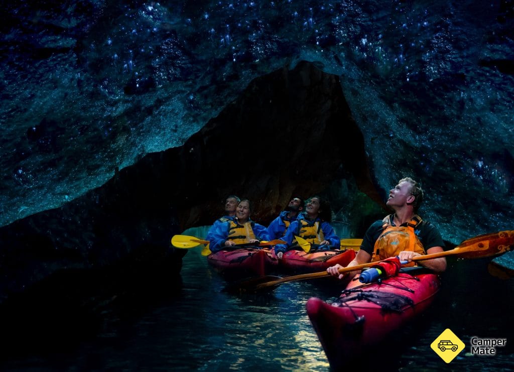 Waimarino Tauranga Glow worm Kayak Tour