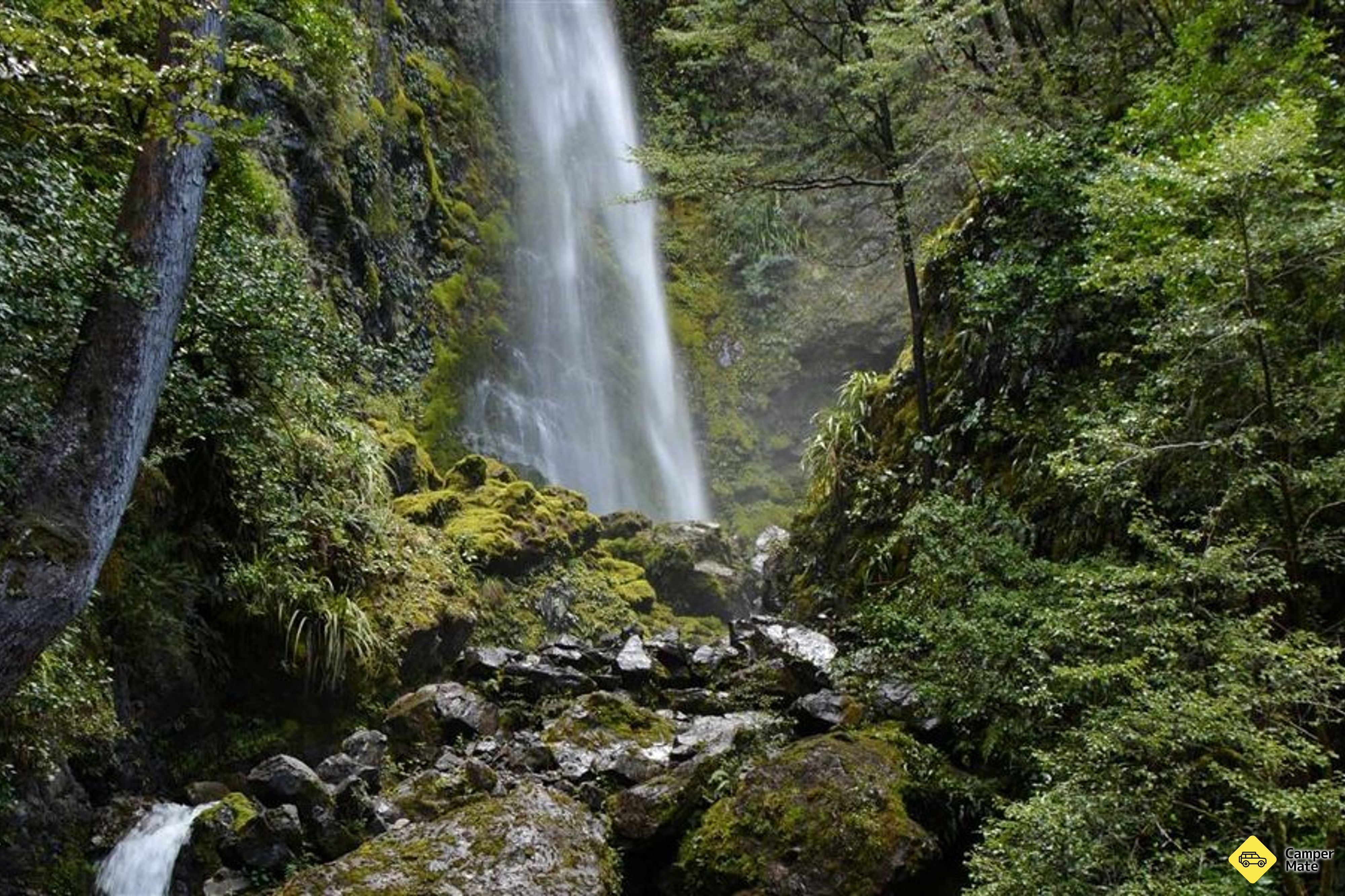 Lakeside Track a Whisky Falls