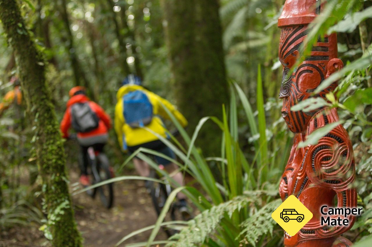 The Timber Trail - Image 3