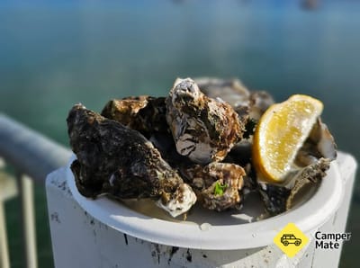 Ohiwa Oyster Farm Shop és Takeway