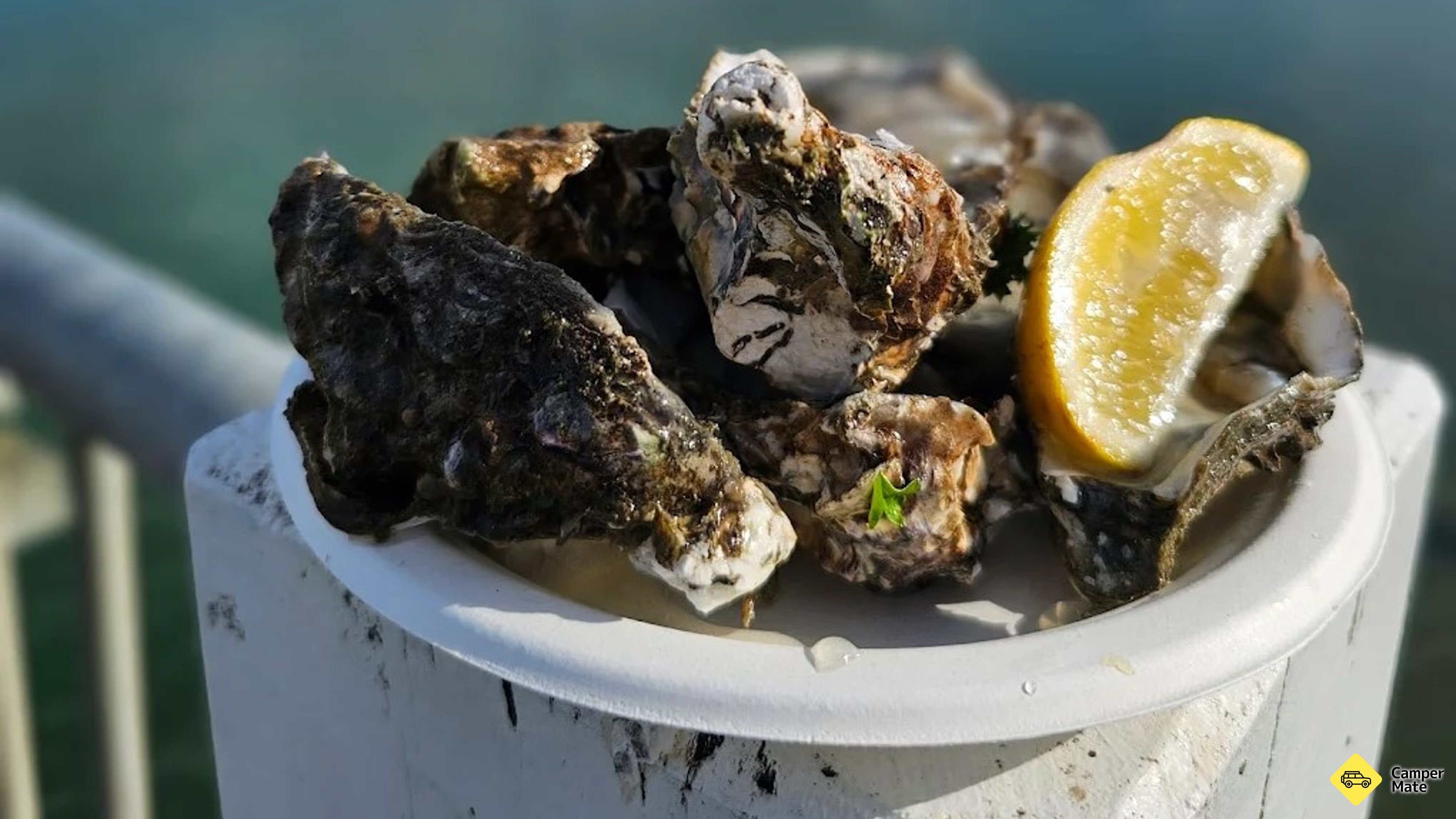 Ohiwa Oyster Farm Shop és Takeway