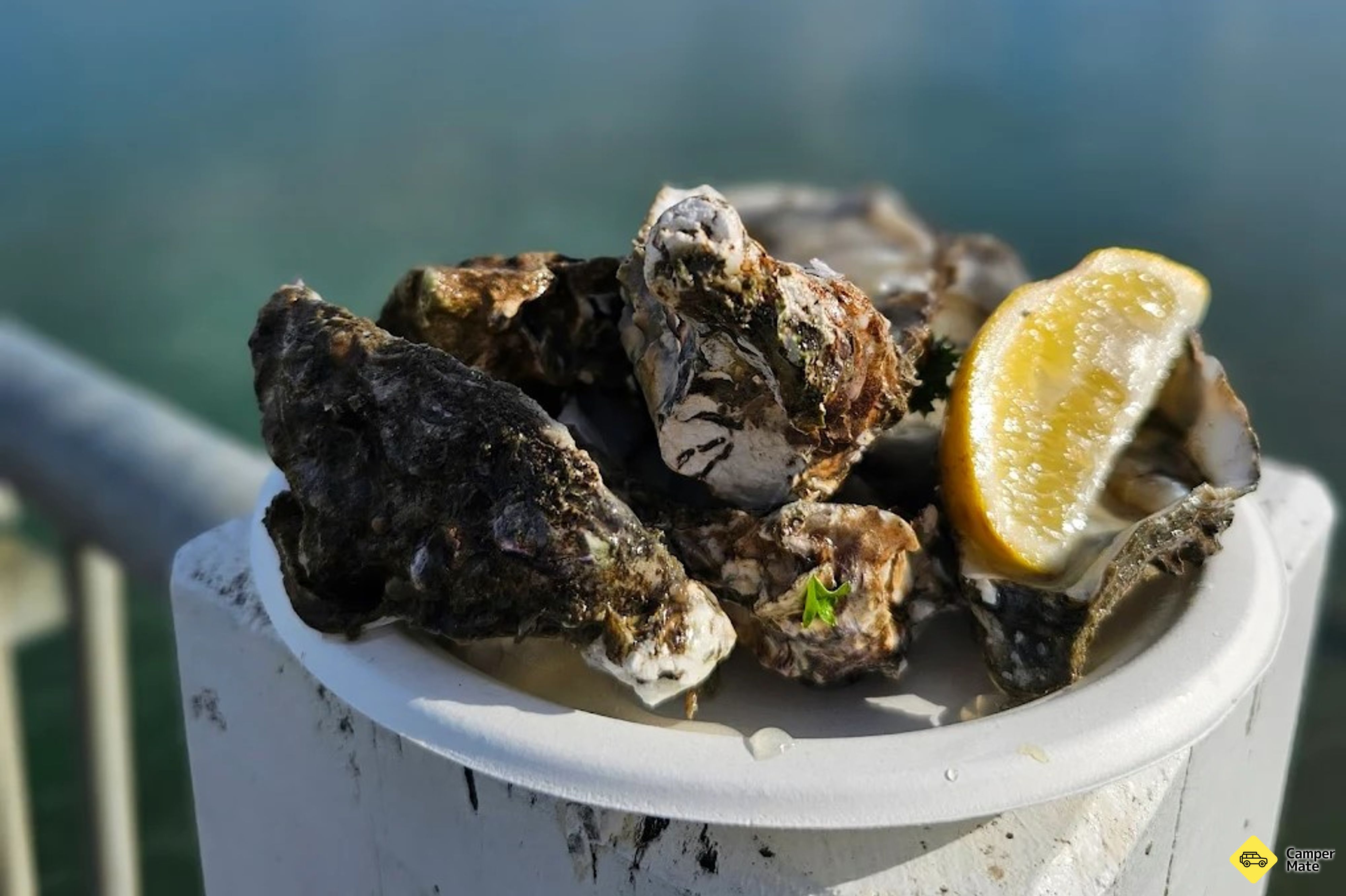 Ohiwa Oyster Farm Shop és Takeway