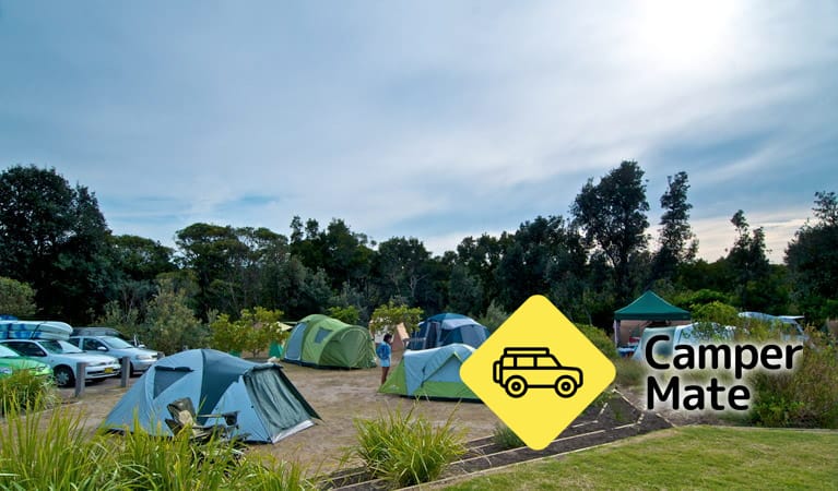 Freemans campingplass