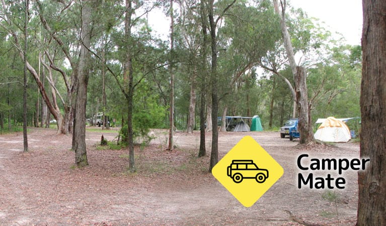 Wallingat River Campground - Image 2